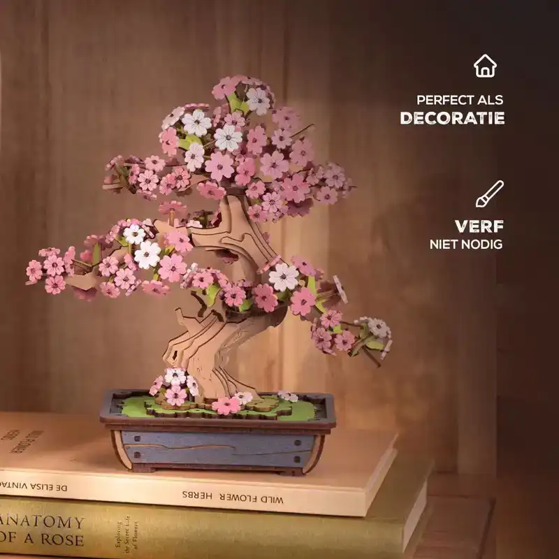 Sakura Bonsai