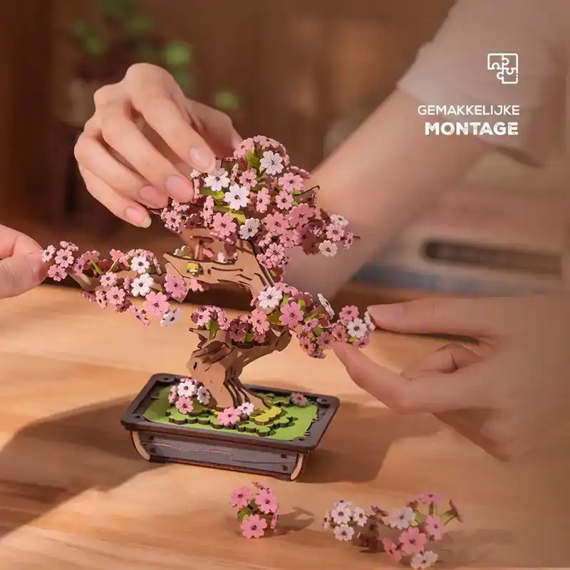 Sakura Bonsai